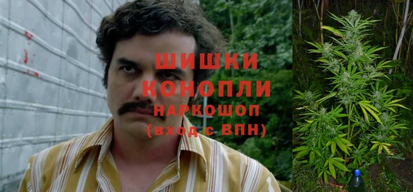ешки Алзамай