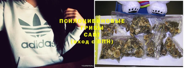 ешки Алзамай