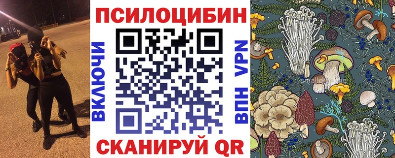 Псилоцибиновые грибы ЛСД  blacksprut ТОР  Дивногорск 