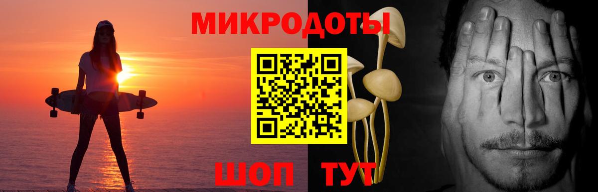Дивногорск  Галлюциногенные грибы прущие грибы  Вход с VPN 